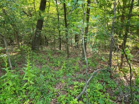 N1406 HOLMNLANE Road, WAUPACA, WI 54981