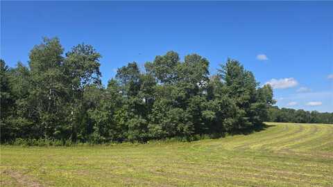 Lot 4 22 1/2 Avenue, Rice Lake, WI 54868