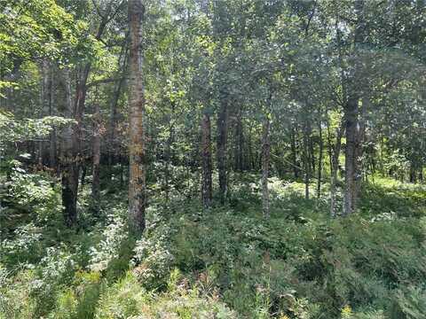 Tollander Rd, Siren, WI 54872