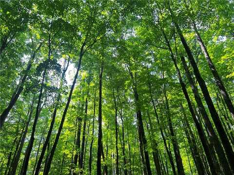 0 Pershing Road, Shell Lake, WI 54813