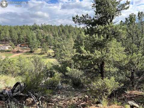 Tbd CR 28 Road, Cotopaxi, CO 81223