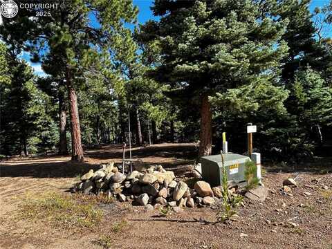 53 Pine Eagle Court, Westcliffe, CO 81252