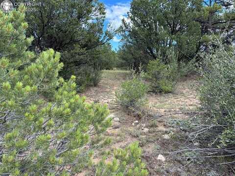 725 N Riggs Road, Westcliffe, CO 81252