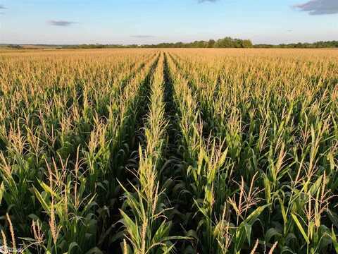 19980 173rd Avenue, Sigourney, IA 52591