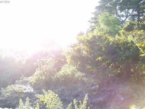 18th, Bandon, OR 97411