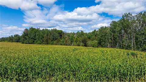 Tbd 180th Street, Verndale, MN 56481
