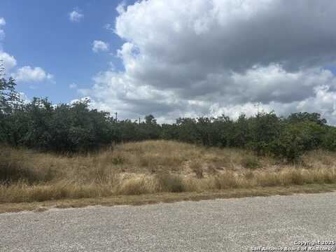 112 Riley Wood, Blanco, TX 78606