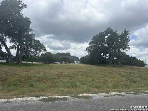 208 Frank Jones, Blanco, TX 78606