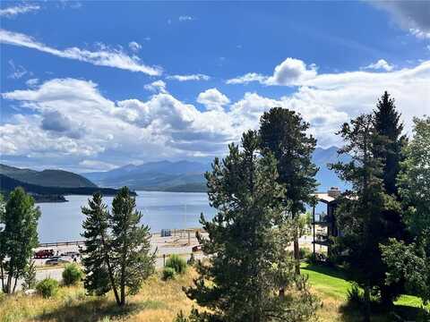 160 E LA BONTE STREET, Dillon, CO 80435