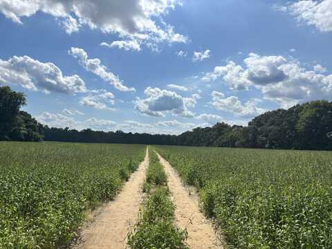 SW Old Congaree Run, Eastover, SC 29044