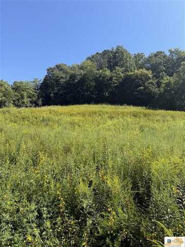 Lot Jackson Hollow Road, Burkesville, KY 42717