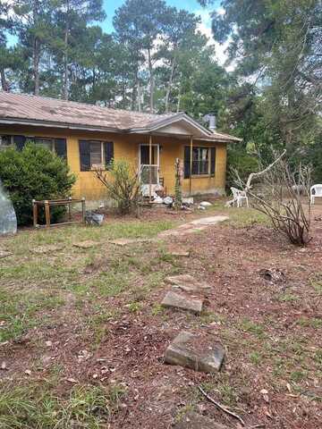 150 Willis Rd, Attapulgus, GA 39815