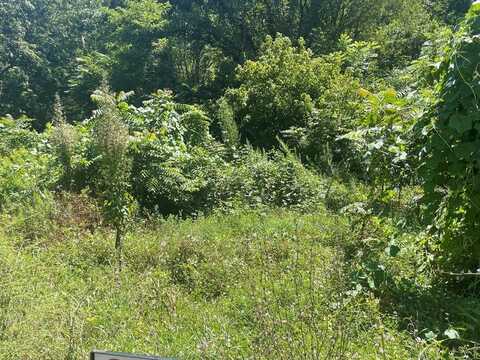Tbd Big Creek Rd, Richlands, VA 24641