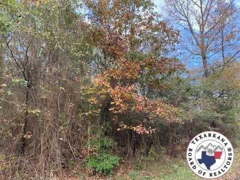 TBD CR 4217 (Tract 6), Simms, TX 75574
