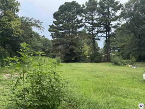 510 Pecan, Maud, TX 75567