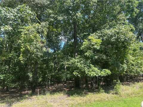 486 Rocky Cove Lane, Denton, NC 27239