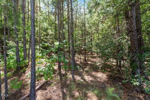4106 Wilson Town Road, Oxford, NC 27565