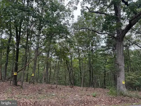 MIDDLE RIDGE ROAD, ROMNEY, WV 26757