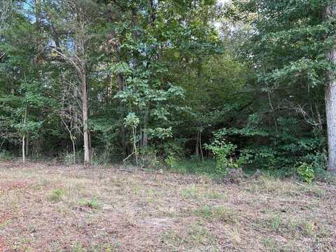 TBD1 Crosslin Ave, Tullahoma, TN 37388