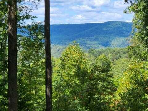 Lot 73 Tomahawk Rd, Jamestown, TN 38556
