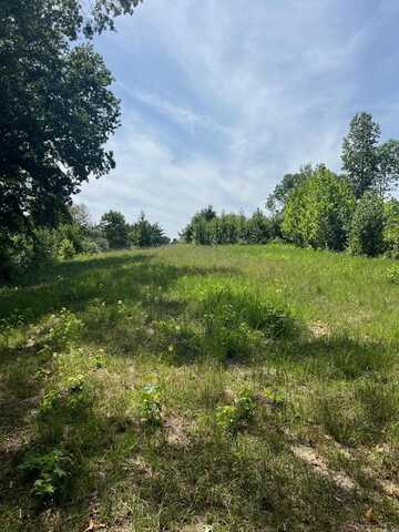 9AC Lily Dale Rd, ALLONS, TN 38541
