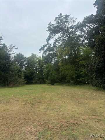 620 36th Avenue, Tuscaloosa, AL 35401