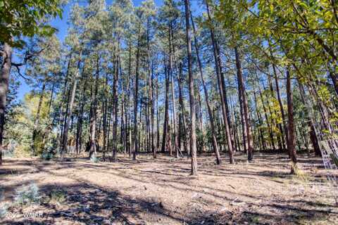 040c VALLERY Lane, Lakeside, AZ 85929