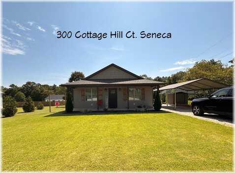 300 Cottage Hill Court, Seneca, SC 29678