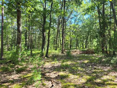 Clay Banks Road lot: 173/174, Rogers City, MI 49779