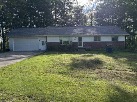 10929 Polaski Road, Posen, MI 49776