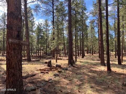 18 N COUNTY ROAD N1045 --, Springerville, AZ 85938