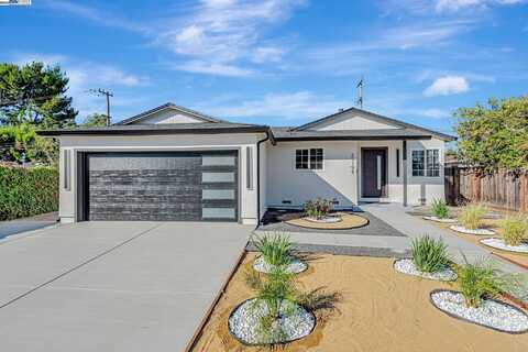 39198 Blacow RD, Fremont, CA 94538
