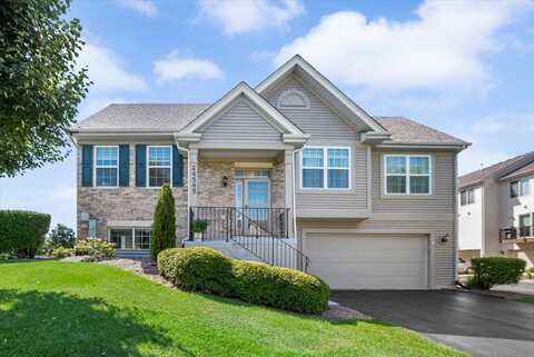 24545 George Washington Drive, Plainfield, IL 60544