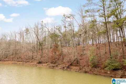 SHORESIDE DRIVE, DOUBLE SPRINGS, AL 35553