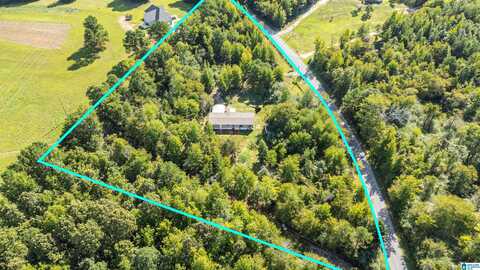 1365 JUSTICE ROAD, WARRIOR, AL 35180