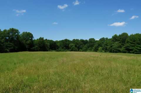 5176 SAM DRIVE, Mc Calla, AL 35111