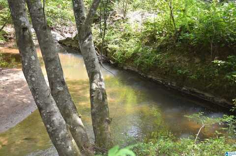 0 COUNTY ROAD 269, WEDOWEE, AL 36278