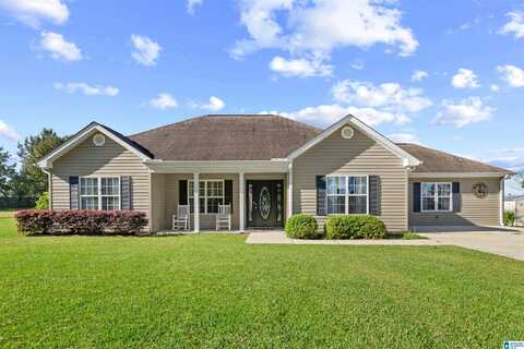 1025 COUNTY ROAD 370, CLANTON, AL 35045