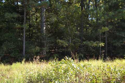 undefined, Cabot, AR 72023