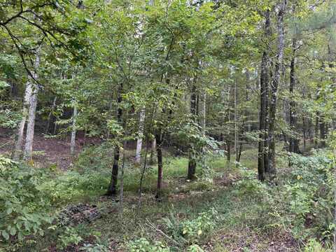 22 Purista Lane, Hot Springs Village, AR 71909