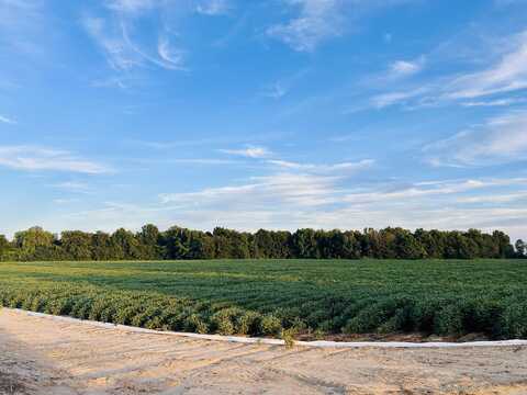207 CR 478, Rector, AR 72461