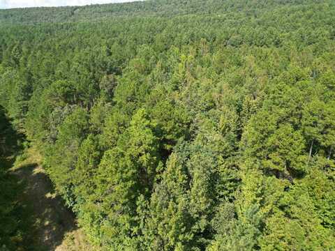 000 broomfield Road, Dover, AR 72837