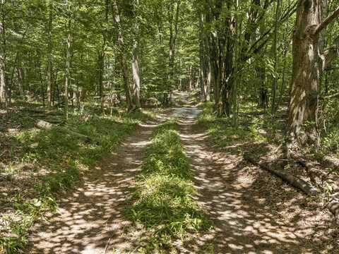 0 GILSTONE ROAD, BEULAH, MI 49617