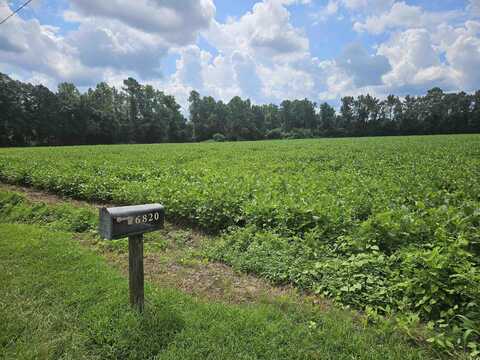 36.4ac Black Creek Rd., Nichols, SC 29581