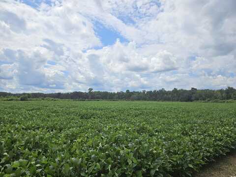 56.3AC Farguson Rd., Nichols, SC 29581