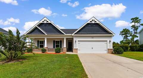 213 Astoria Park Loop, Conway, SC 29526
