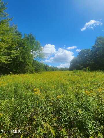 0 Mcmillan Road, Duanesburg, NY 12137