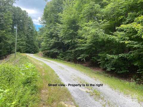 Steven Street, Lake Lure, NC 28746