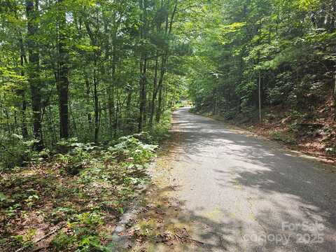 99999 Majestic Trace unit: 25, Hendersonville, NC 28739