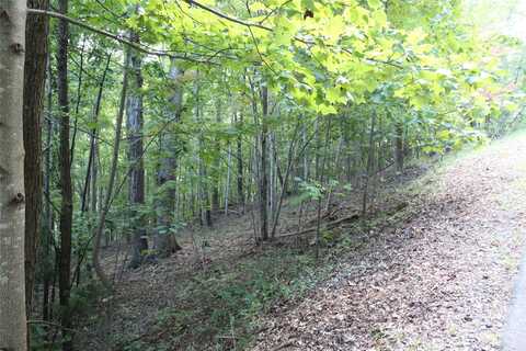 Azule Ridge Drive, Bostic, NC 28018